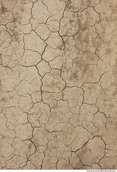 Cracked Soil