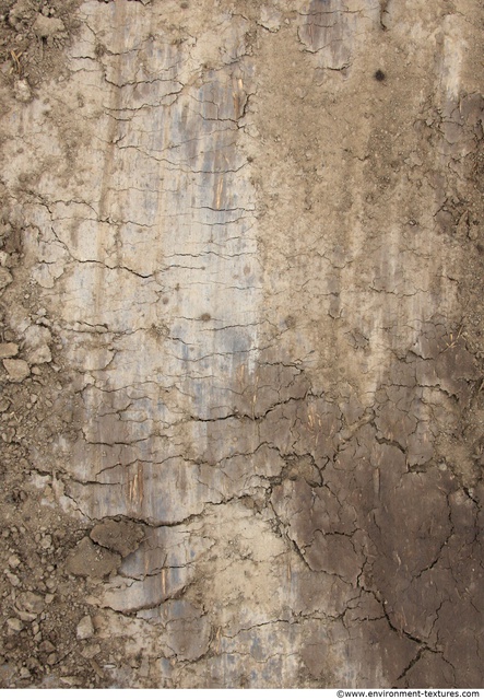 Cracked Soil