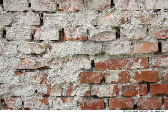 Wall Bricks Plastered