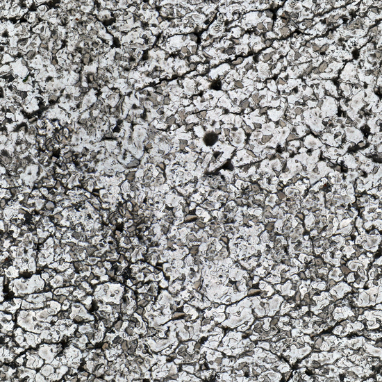 Seamless Concrete