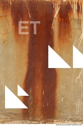 Wall Plaster Leaking