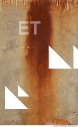 Wall Plaster Leaking