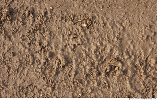 Mud Soil