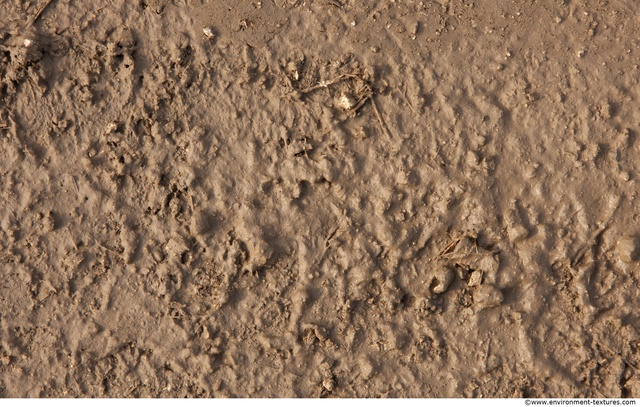 Mud Soil