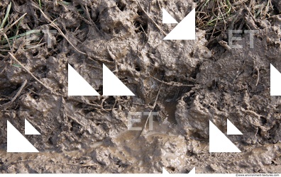 Mud Soil