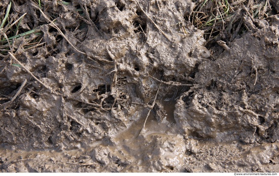 Mud Soil