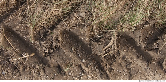 Soil Trace