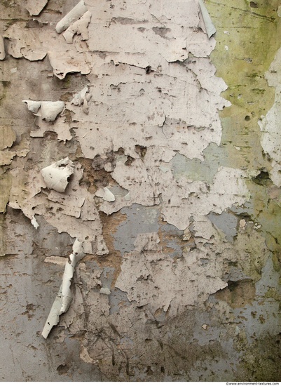 Walls Plaster Damaged