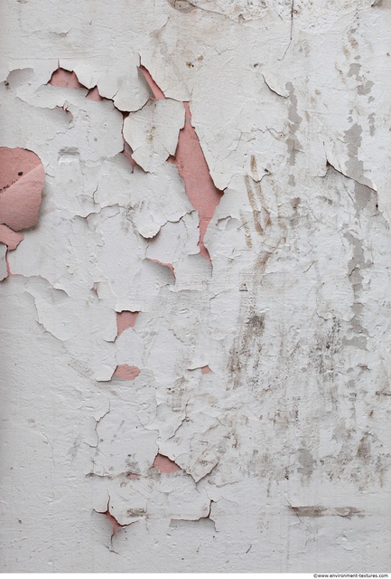 Wall Plaster Paint Peeling