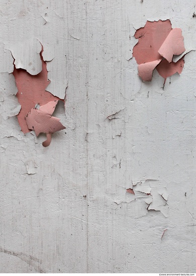 Wall Plaster Paint Peeling