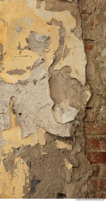 Walls Plaster Damaged