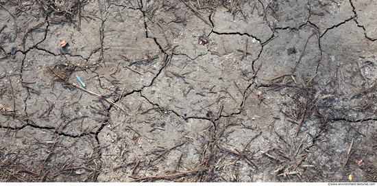 Cracked Soil