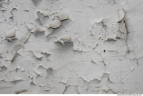 Wall Plaster Paint Peeling