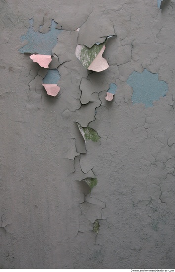 Wall Plaster Paint Peeling