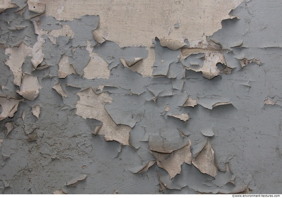 Wall Plaster Paint Peeling