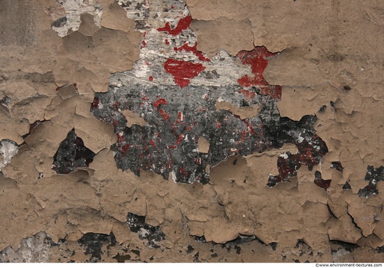 Wall Plaster Paint Peeling