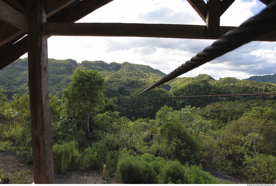 Background Forests