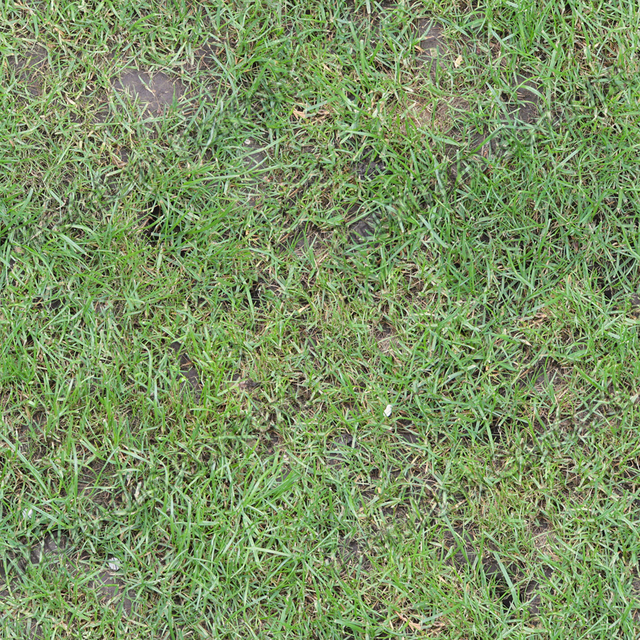 Seamless Grass