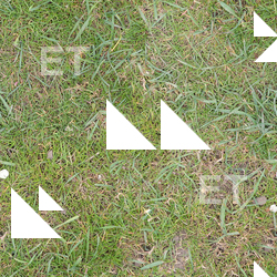 Seamless Grass