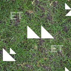Seamless Grass