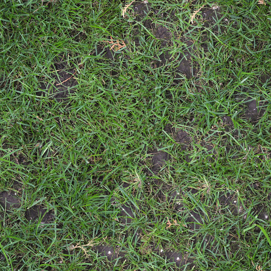 Seamless Grass