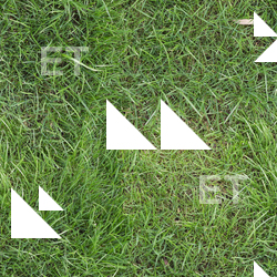 Seamless Grass