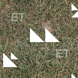 Seamless Grass