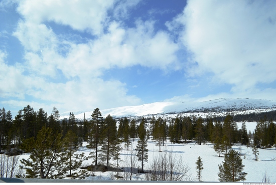 Background Forests