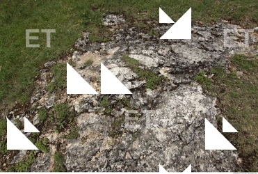 Cliffs Overgrown Rock