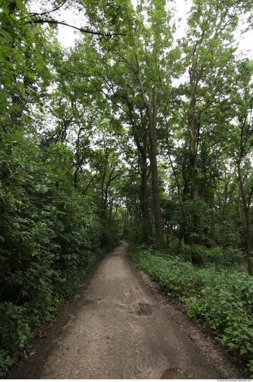 Background Forests