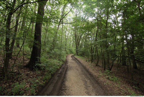 Background Forests