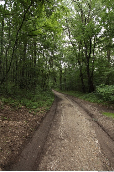 Background Forests