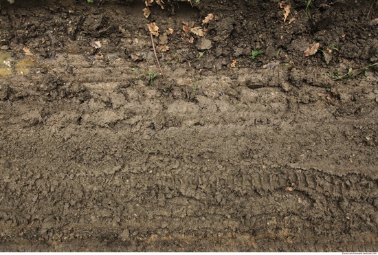 Mud Soil