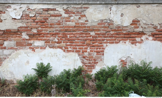 Wall Bricks Plastered