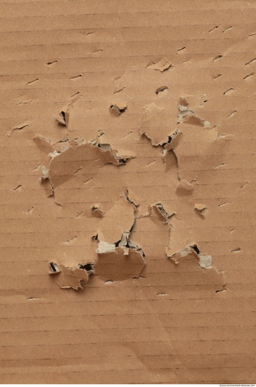 Damaged Cardboard