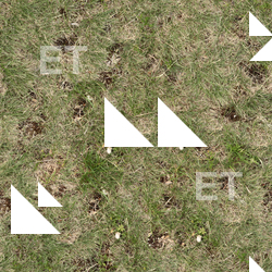 High Resolution Seamless Grass Texture