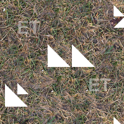 High Resolution Seamless Grass Texture