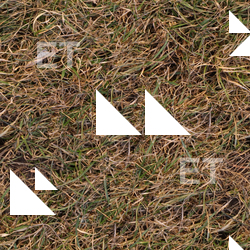 High Resolution Seamless Grass Texture