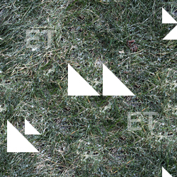 High Resolution Seamless Grass Texture