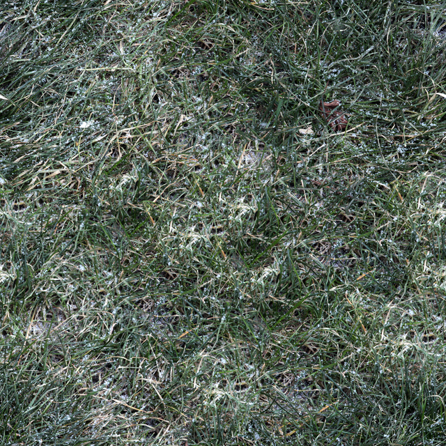 High Resolution Seamless Grass Texture