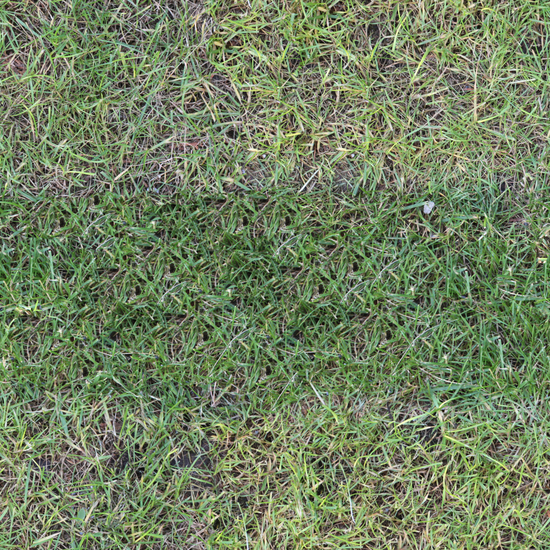 Seamless Grass