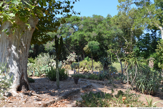 Background Gardens