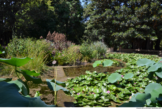 Background Gardens