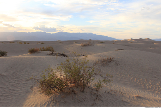 Background Deserts