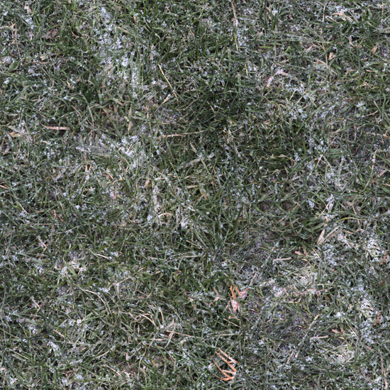 Seamless Grass Frozen