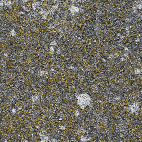 Seamless Concrete