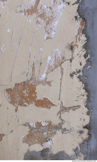 Walls Plaster Damaged