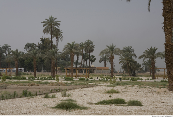 Egypt Dendera Landspace