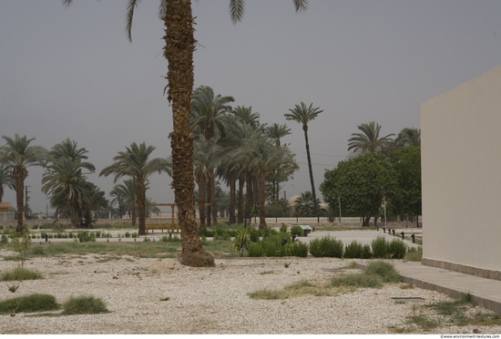 Egypt Dendera Landspace