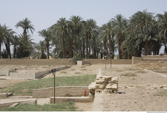 Egypt Dendera Landspace